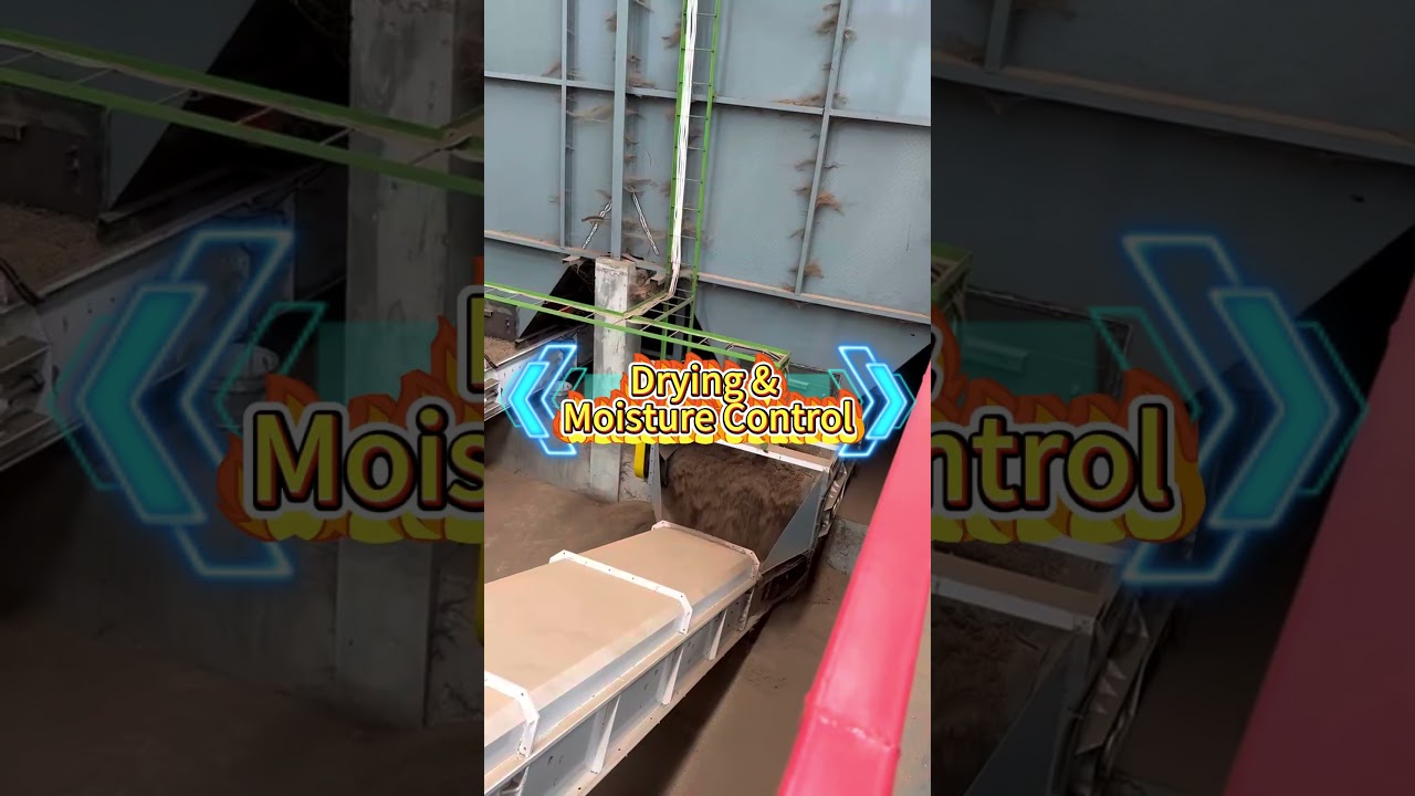 Indonesia 30 TH Biomass Pellet Fully Automated Production Line Project 