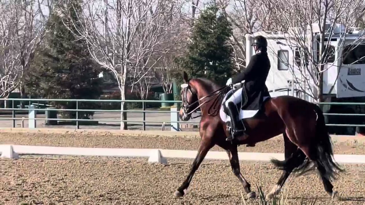 Prix St. Georges   62.05%