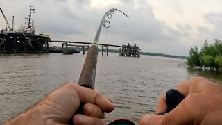 Cut Shad And A New Moon, Mississippi River Catfish Fishing