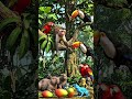 Cute Baby Monkey Adventure in Amazon Jungle 🐒 | Emotional Wildlife Story.#shorts #viral