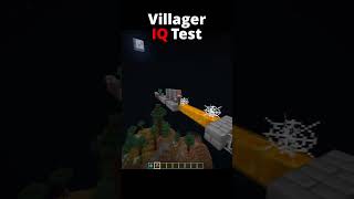 Minecraft IQ Test #shorts #minecraft #nobatidao #minecraftmemes #minecraftfunny #minecraftshorts