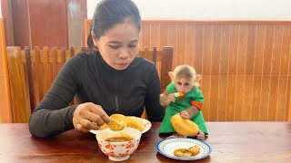 Have All Of You See Monkey Baby Eat Curry Recipes With Human Mom...