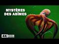 MYSTÈRES DES ABÎMES Les Animaux Sauvages Les Plus Dangereux De La Planète Documentaire Animalier 