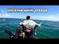 MIMPI JADI KENYATAAN!!! UNLOCK NEW SPESIES GENGG😁 KAYAK FISHING MALAYSIA VLOG#21