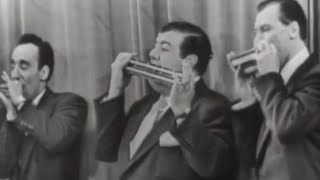 Video thumbnail of "The Harmonicats "Peg O' My Heart" on The Ed Sullivan Show"