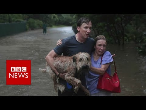 Hurricane Harvey: The story so far - BBC News