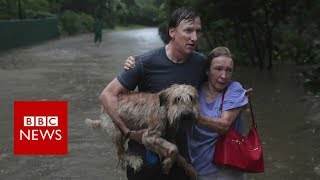 Hurricane harvey: the story so far - bbc news