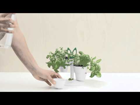 Vidéo: Vase d'herbe de Normann Copenhagen