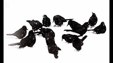 Pēteris Vasks - String Quartet No. 2 - II. Birds