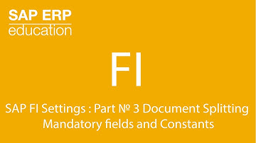 SAP FI Settings : Part № 3 Document Splitting Mandatory fields/Constants