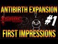 FIRST IMPRESSIONS - The Binding Of Isaac: ANTIbirth #1