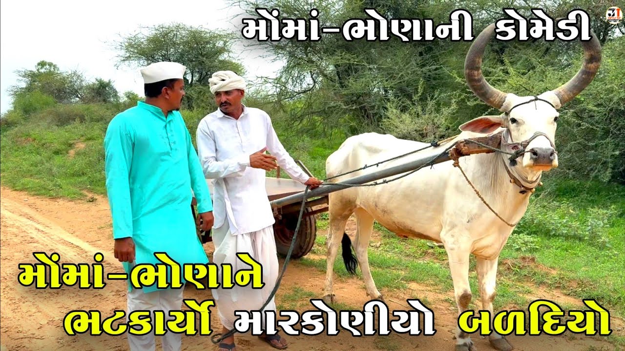 મોંમાં-ભોણાને ભટકાર્યો મારકોણીયો બળદિયો | MOMA-BHONA NE BHATKARYO MARKONIYO BARADIYO | NEW COMEDY