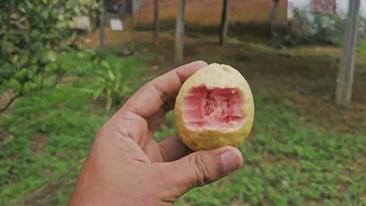 SAIR DA CLT , COMPREI UM SÍTIO. 