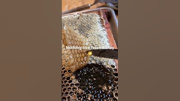 Uncapping honey from our hives, @Wildernessgma49 , #alaska #selfreliance