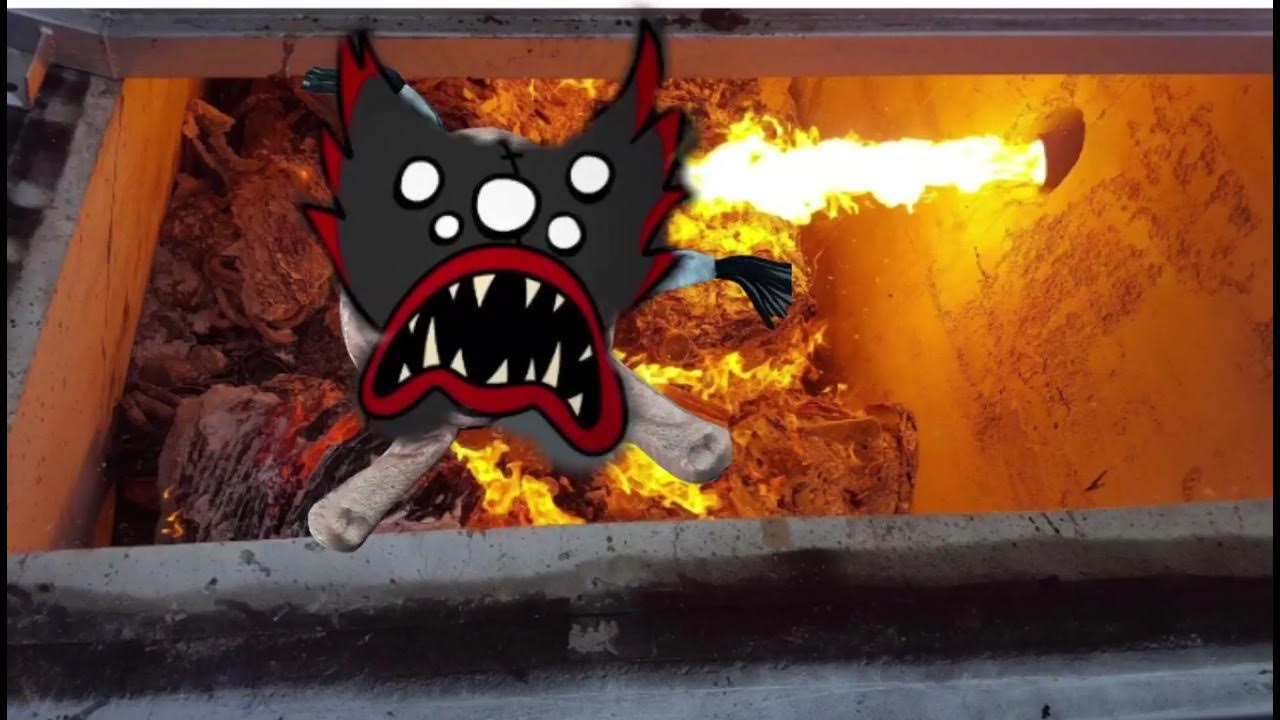 шлёпа кили вили хочу чтобы блоп топ заметил - YouTube