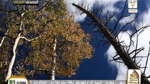 ماتيسر من سورة الأعراف الشيخ ياسر الدوسري