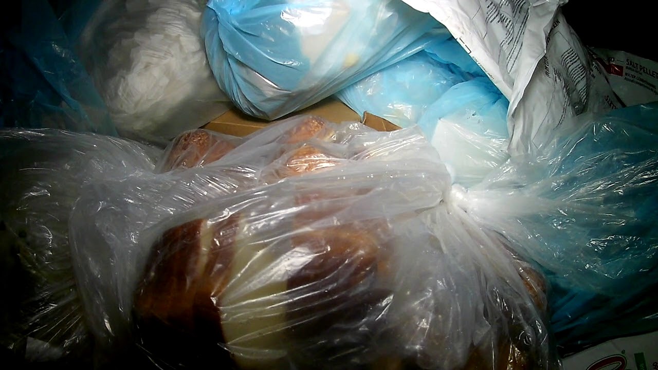 Dumpster Diving For Food During The Pandemic YouTube