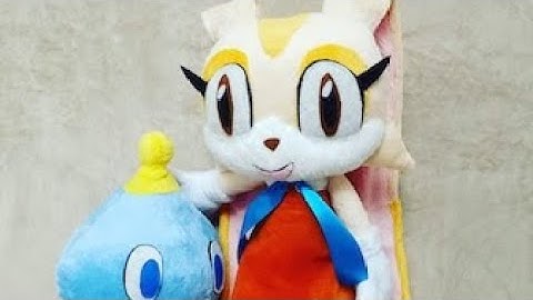 this question is from realshadowfan01 (sprite animation)