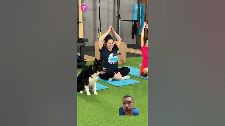 Adorable Dog Changes the Rules at the Gym #shorts