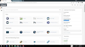 How to edit the files on your website?