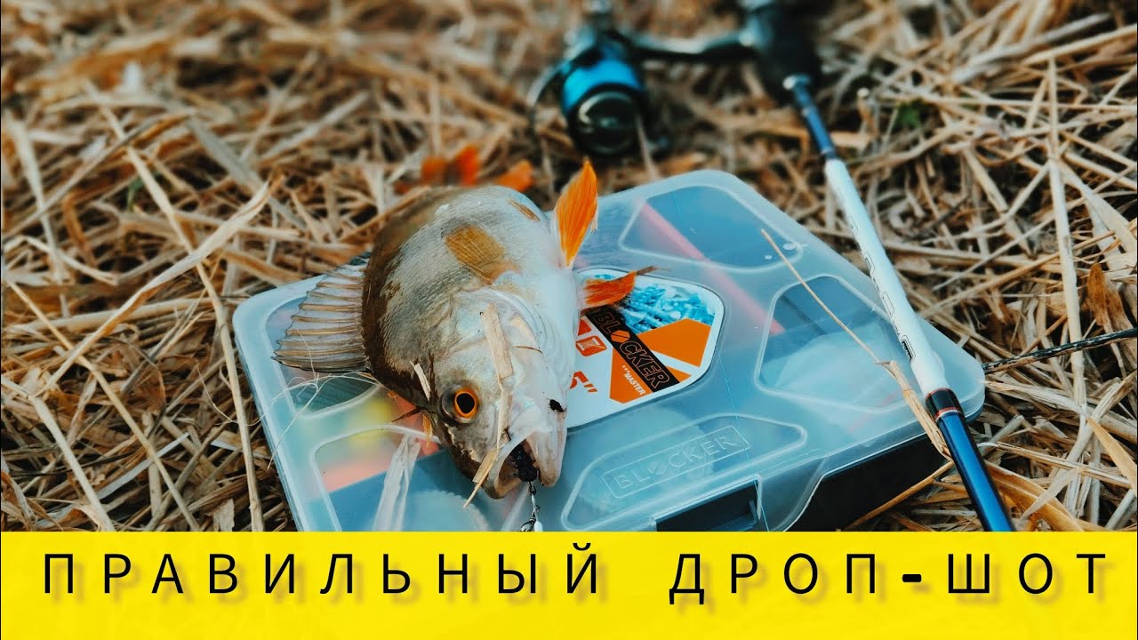 Guarda ДРОП-ШОТ ПРОТИВ ПОГОДЫ. ПРОВОДКА И НЮАНСЫ su YouTube Guarda ДРОП-ШОТ ПРОТИВ ПОГОДЫ. ПРОВОДКА И НЮАНСЫ su YouTube
