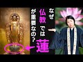 なぜ仏教では蓮が重要なの?【浄土真宗の法話】