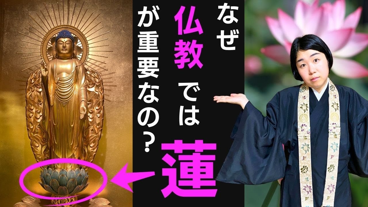 Why is the lotus so important in Buddhism? [Jodo Shinshu's Dharma