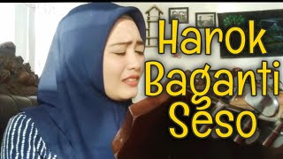 Harok Baganti Seso - ovhi firsty (Live Cover)