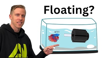 FIX Why Won’t My Sponge Filter Sink? REACTION