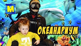Океанариум Влог Vlog Детское Видео Про Марка Подводный Мир, Акула, Скат, Рыбы Видео Для Детей