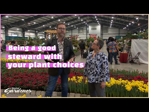 Video: Volunteer Plants - Tình nguyện viên trồng cây trong vườn là gì