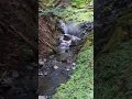 あ〜〜・・栃木のワイルドすぎる!温泉