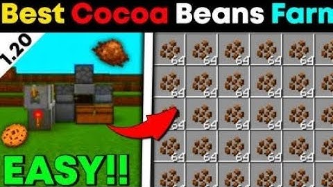 Minecraft best and easy cocoa beans farm in 1.20.