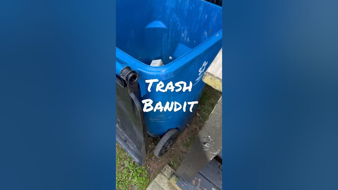 what-s-in-my-trash-can-youtube