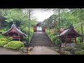 Walking in the Rain in Tokyo: Gokokuji Temple - Rain Walk right after Sakura Season