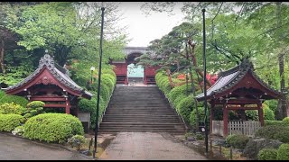 Walking in the Rain in Tokyo: Gokokuji Temple - Rain Walk right after Sakura Season
