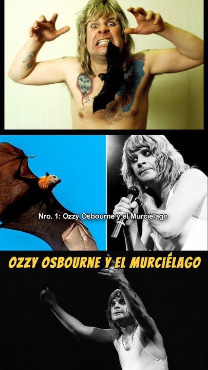 ozzy osbourne arranca cabeza murciélago