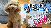 犬のトイレガード 枠 を作ってみました 作り方 Diy Youtube