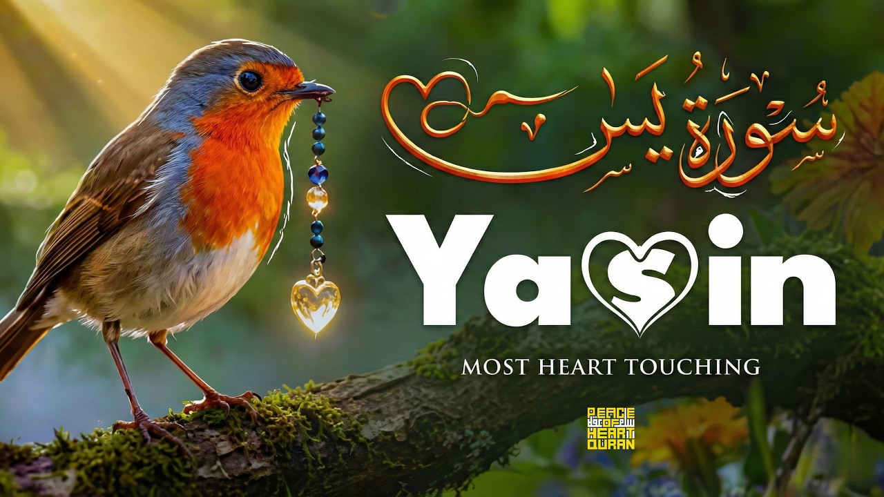 Surah Yaseen Sleep Recitation | Peaceful Quran Before Sleep | Peace Of Heart Quran