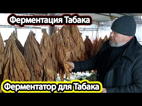 Ферментация Табака с ЦЖ / Ферментатор для Табака