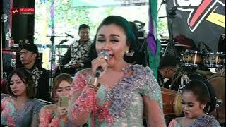 Satru | Iis Tabita | Arseka Music | Ars Jilid 5 | Hvs Sragen