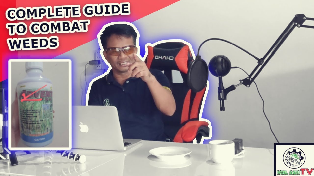 Ito na!!!Goodbye na sa Pesteng damo sa sabog tanim na Palayan! Complete Guide to Combat Weeds!