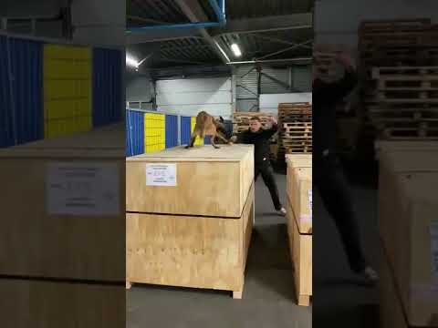 K9 Training Center