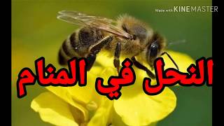 رؤية النحل في المنام للعزباء و متزوجة ومطلقة وللرجل للحامل|تفسير الاحلام tafsir ahlam