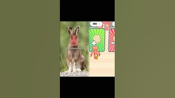 The tale of the tortoise and the hare but the aftermath...