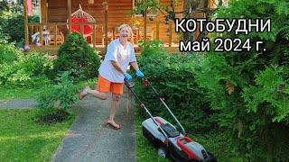 Ждём Весну или КОТоБУДНИ от 7 - 9 мая 2024 г.