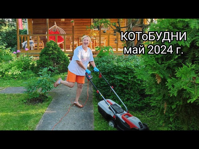 Ждём Весну или КОТоБУДНИ от 7 - 9 мая 2024 г. class=