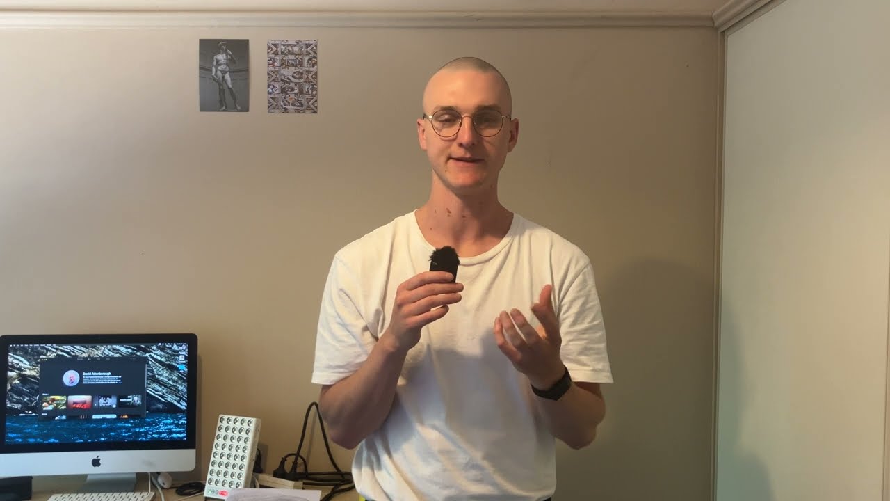 It Looks Like Discipline, Yet Feels Lazy