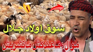 من سوق ولاد جلال للغنم اليوم موال يصرح # ماعندكش ماتشريش بداية العد التنازلي لعيد الأضحى المبارك 🐏🐏