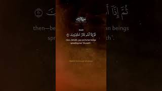 Download Lagu Ayah 20 #arRum #minshawi #quran #signs #ayah #quranrecitation #egypt #المنشاوي #sheikh #makkah MP3